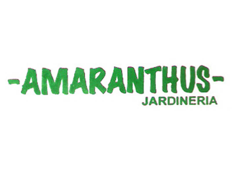 AMARANTHUS JARDINERIA