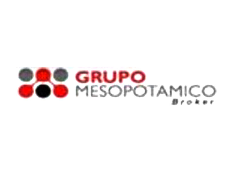 GRUPO MESOPOTAMICO SRL